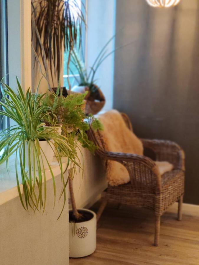 فندق Family House دروسكينينكاي المظهر الخارجي الصورة