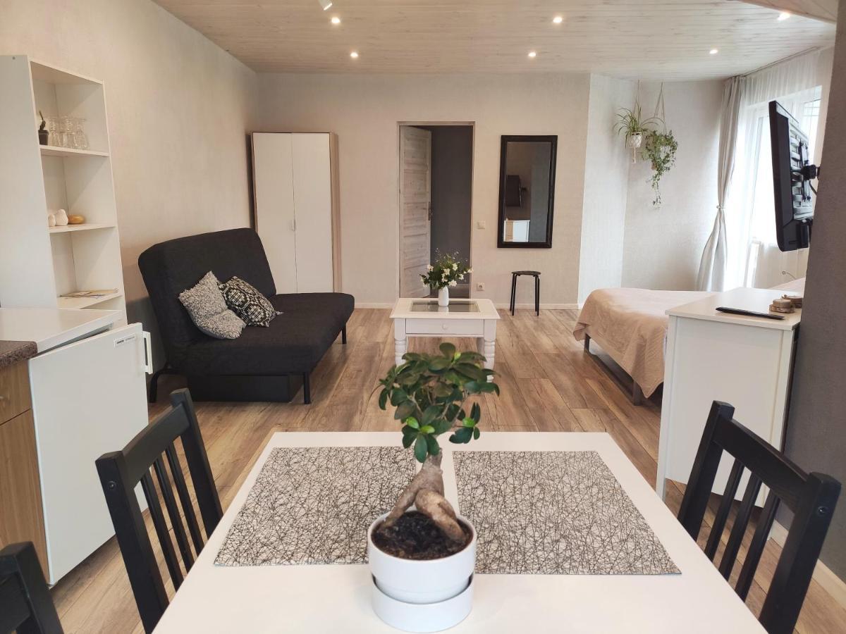فندق Family House دروسكينينكاي المظهر الخارجي الصورة