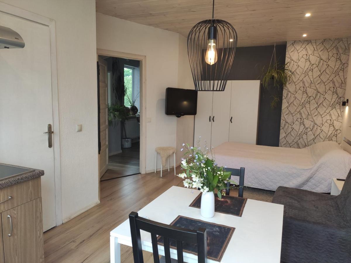 فندق Family House دروسكينينكاي المظهر الخارجي الصورة
