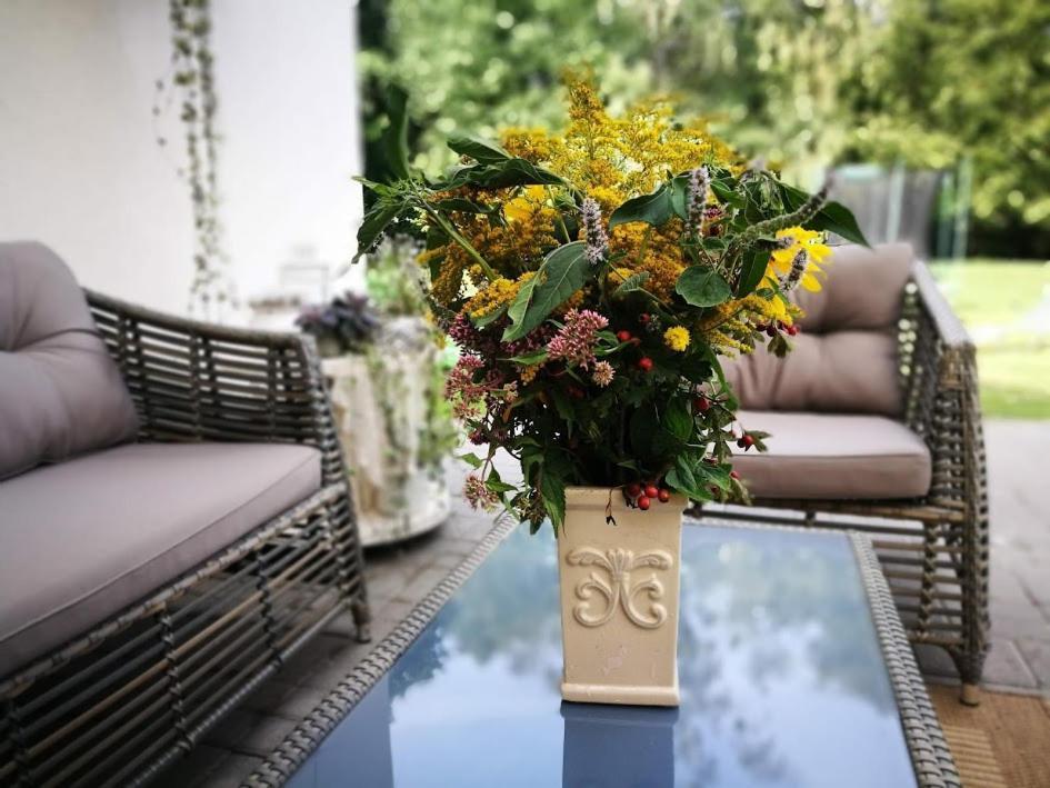 فندق Family House دروسكينينكاي المظهر الخارجي الصورة
